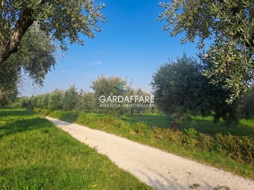 Jordbruksmark i Manerba del Garda