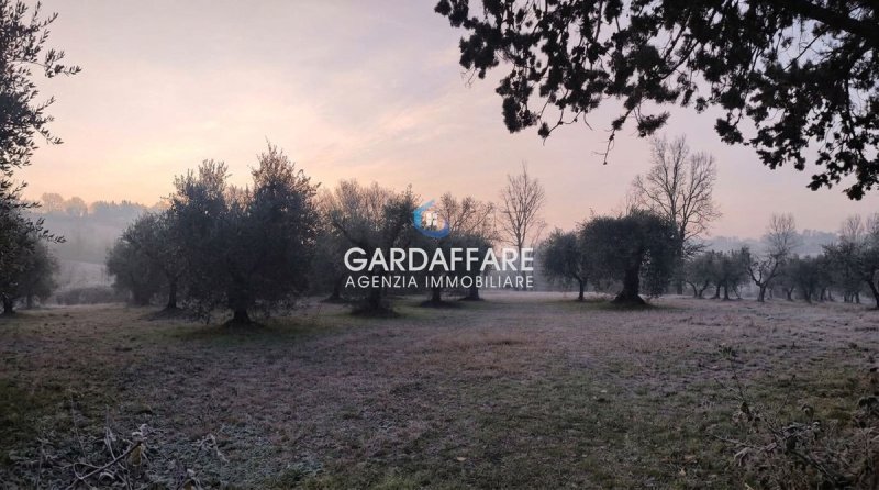 Terrain agricole à Manerba del Garda