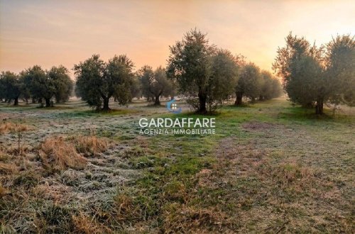 Terrain agricole à Manerba del Garda