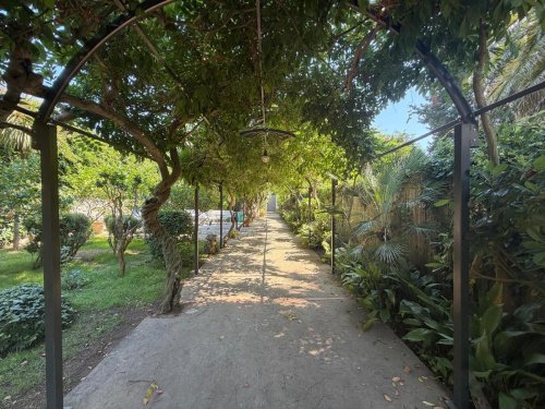 Maison jumelée à Capri