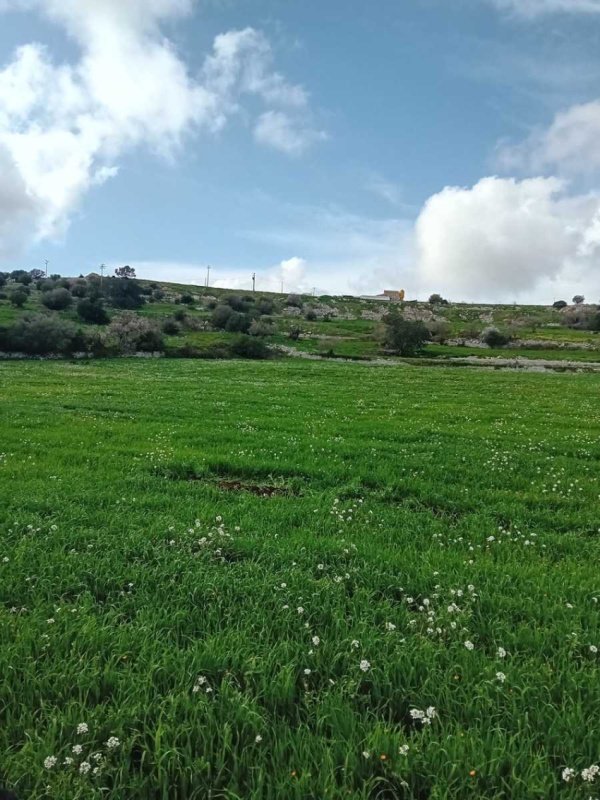 Boerenbedrijf in Ragusa