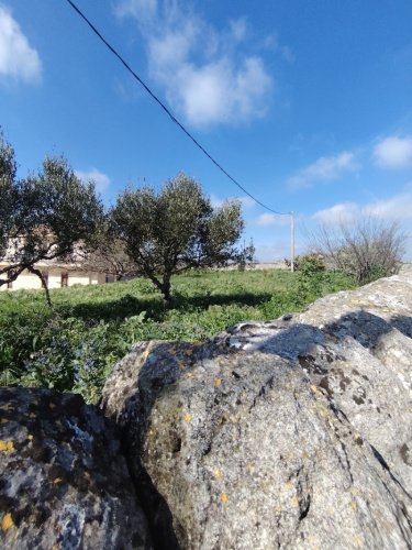 Lantgård i Ragusa