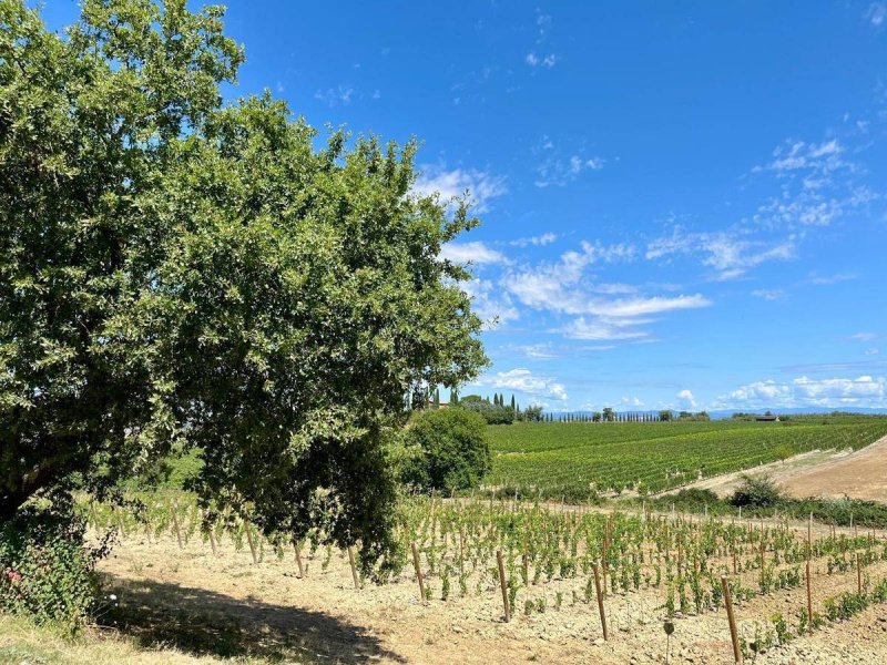 Country house in Montalcino