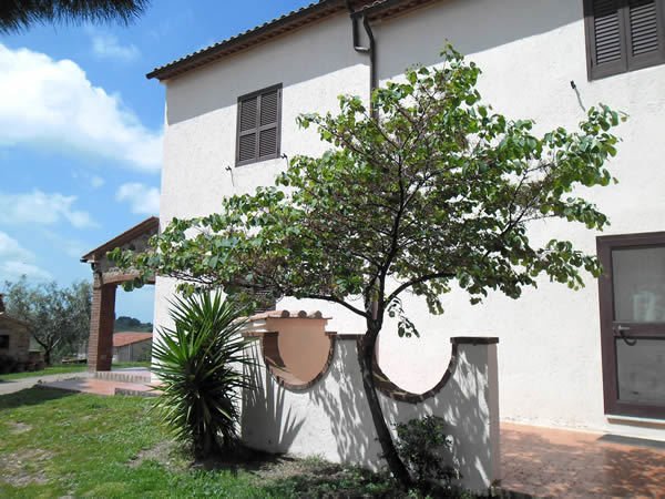Basement in Manciano