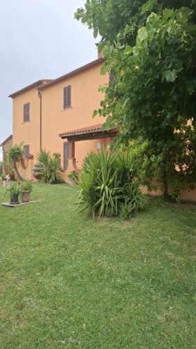 Basement in Manciano