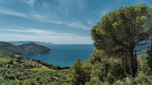 Villa in Monte Argentario