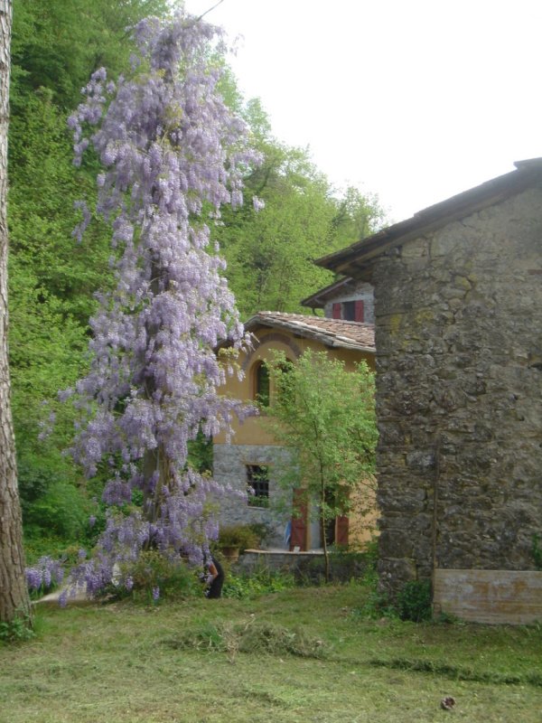 Kleines Dorf in Lucca