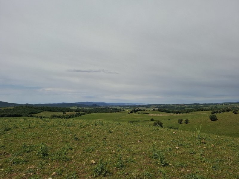 Building plot in Manciano