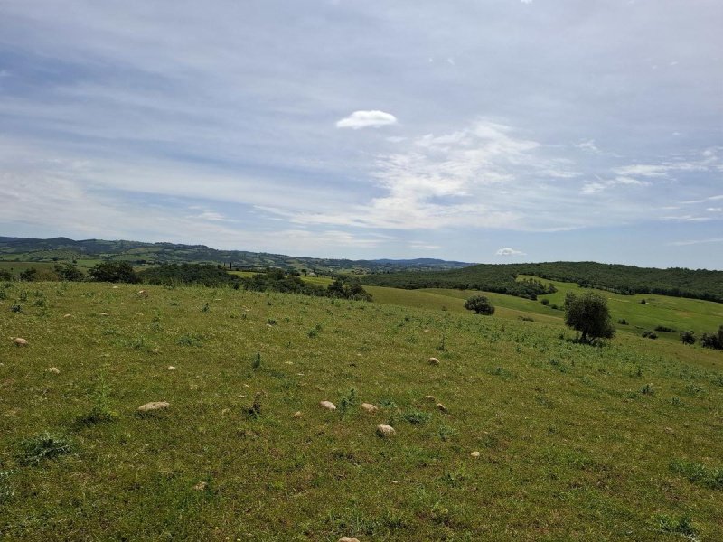 Building plot in Manciano