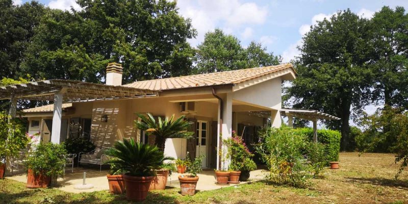 Detached house in Manciano