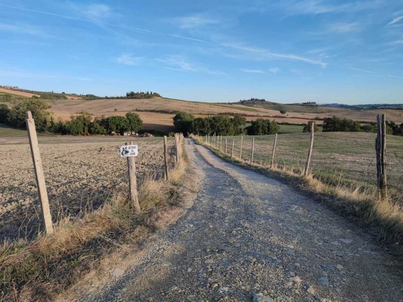 Agricultural land in Castellina in Chianti