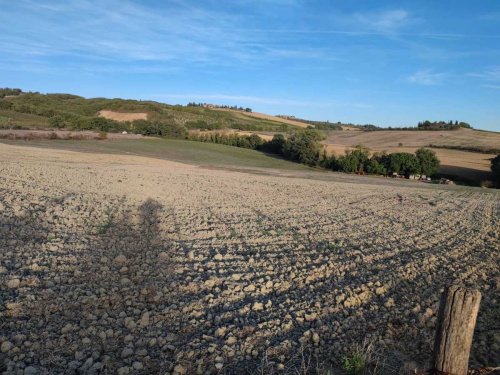 Agricultural land in Castellina in Chianti