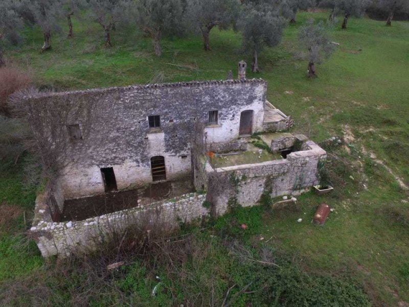 普拉塔桑尼塔农舍