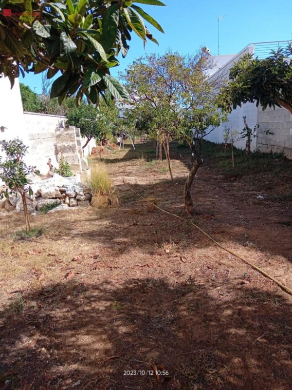 卡瓦利诺建筑用地