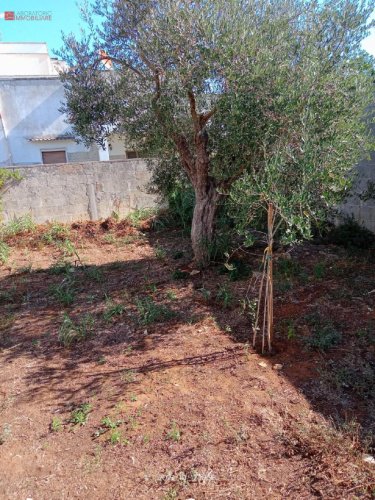 Bauland in Cavallino