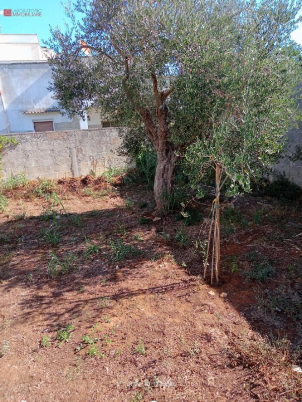 卡瓦利诺建筑用地