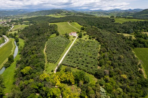 Villa in San Martino Buon Albergo