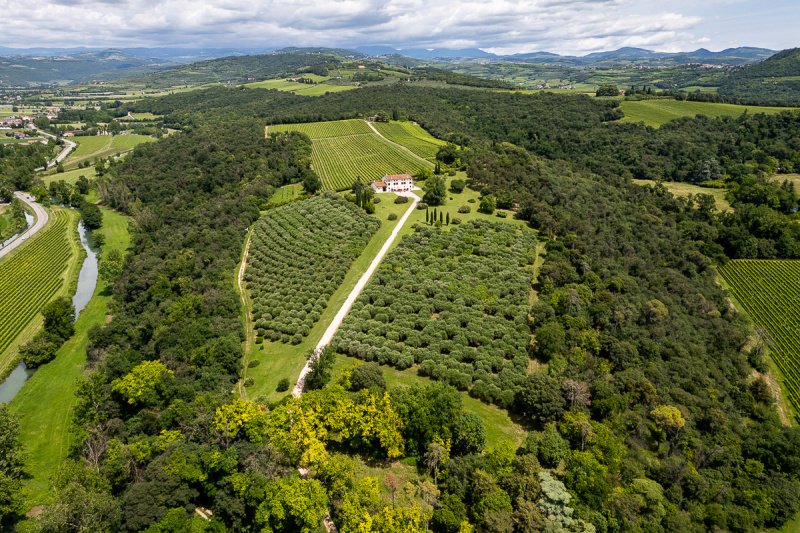 Villa a San Martino Buon Albergo