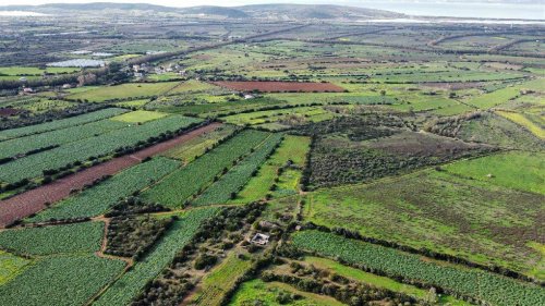 Terreno agricolo a Sant'Anna Arresi