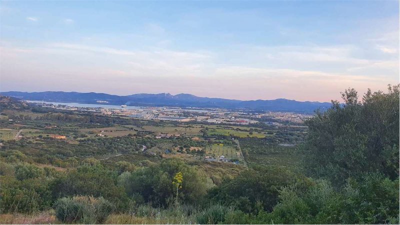 Terrain agricole à Olbia