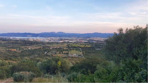 Terrain agricole à Olbia