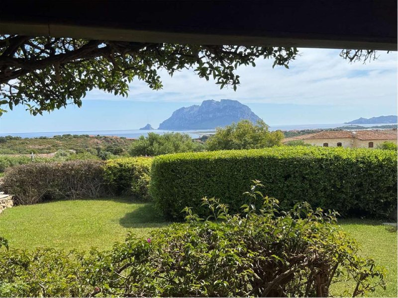Villa à Loiri Porto San Paolo