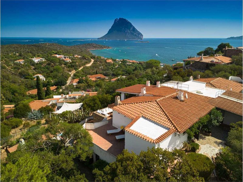 Villa in Loiri Porto San Paolo