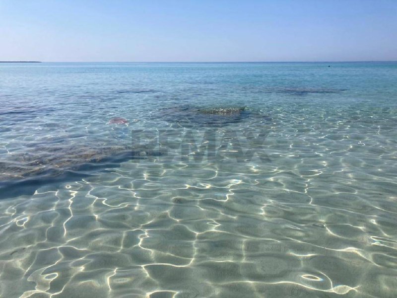 Таунхаус в Сан-Пьетро-Вернотико