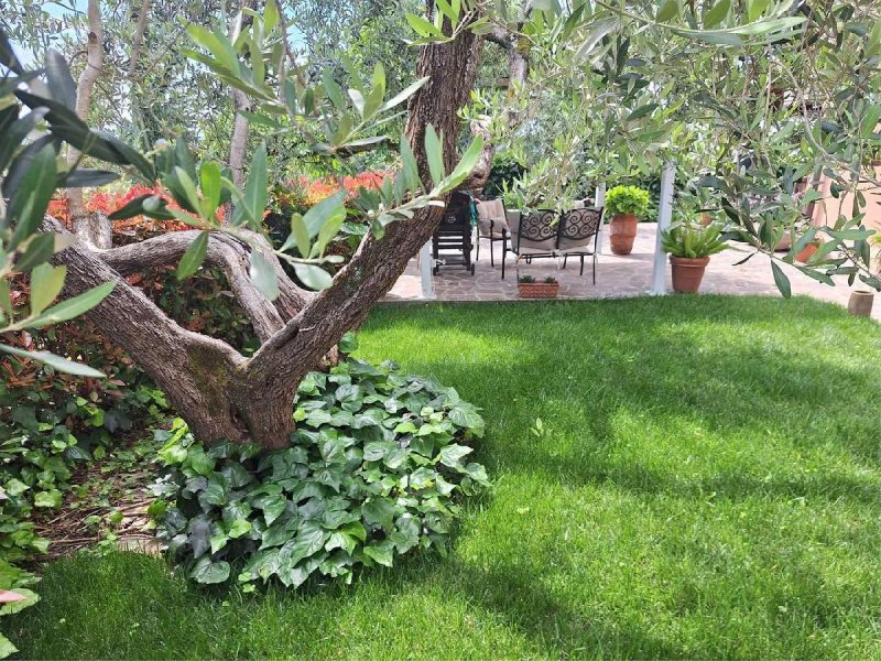 Appartement à Buggiano