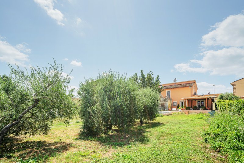 Casa independente em Crespina Lorenzana