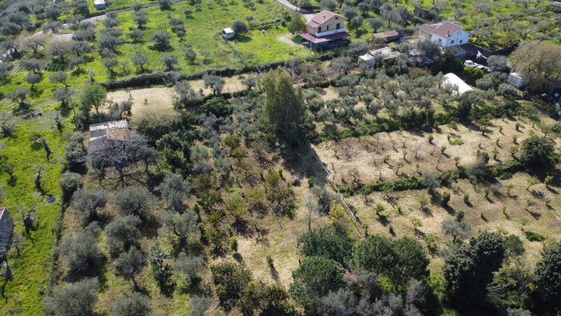 圣菲利波-德尔梅拉乡间房屋