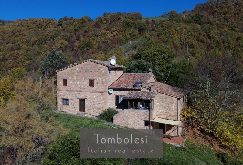 Farmhouse in Urbino