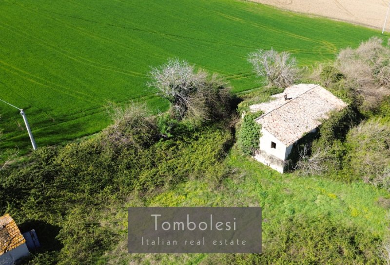 Farmhouse in Arcevia