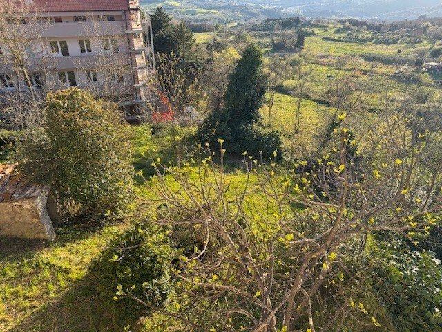 Hus från källare till tak i Roccastrada