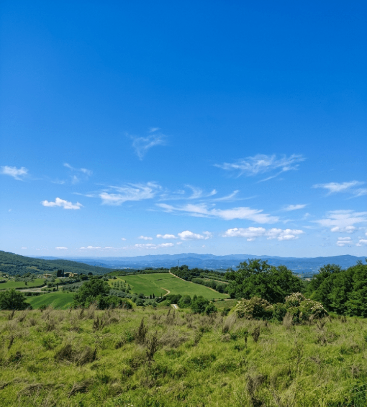 Terreno en Roccalbegna