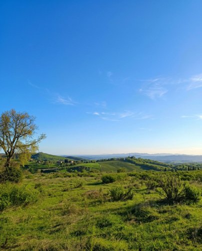 Land in Roccalbegna