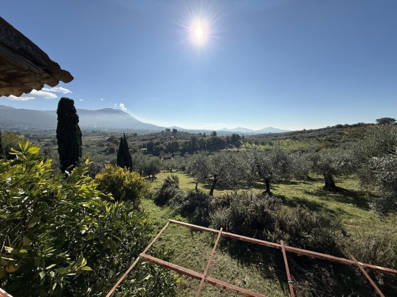 Lantgård i Moricone