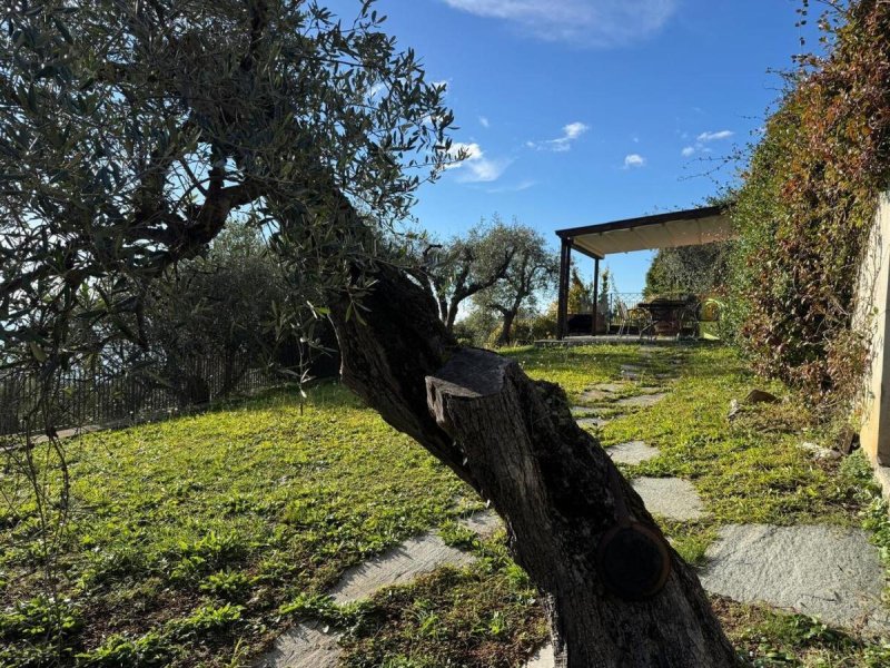 House in Lavagna