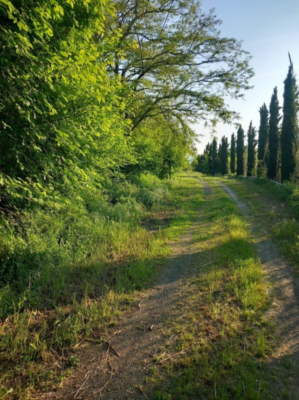 Casa di campagna a Bertinoro