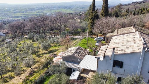 Lantställe i Assisi