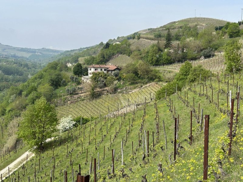 Casa di campagna a Mango