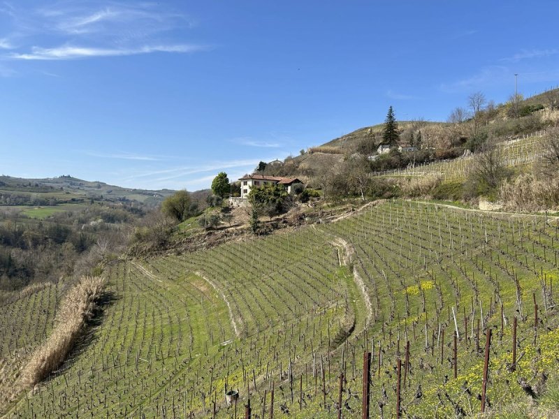 Casa di campagna a Mango