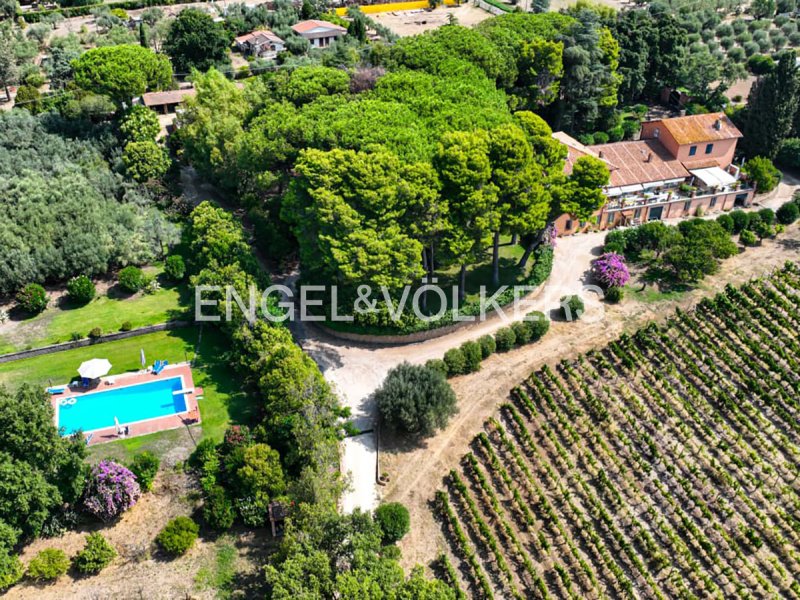 Farm in Genzano di Roma