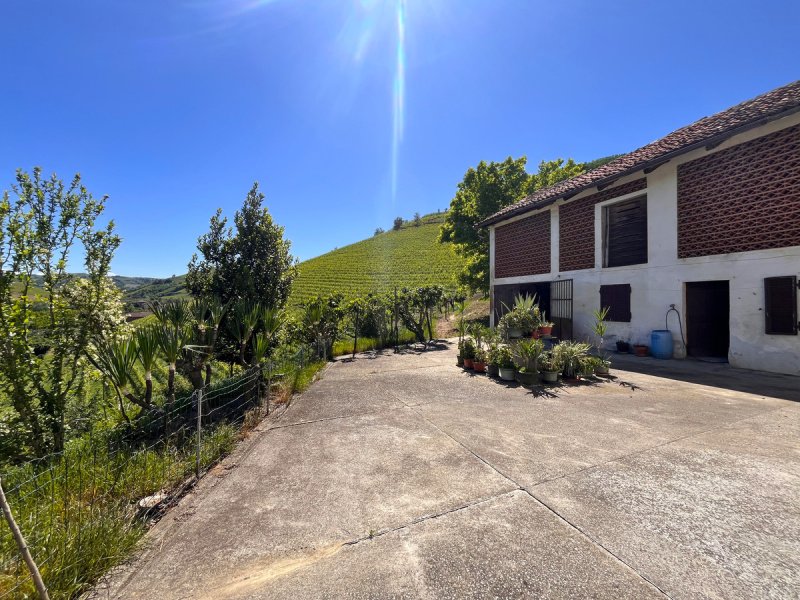 Huis op het platteland in Neive