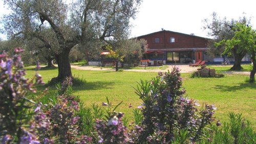 Haus in Canino