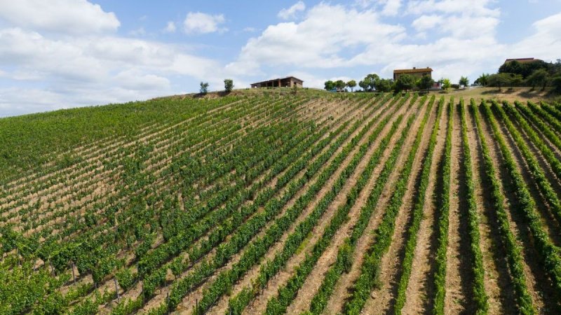 Ferme à Campagnatico