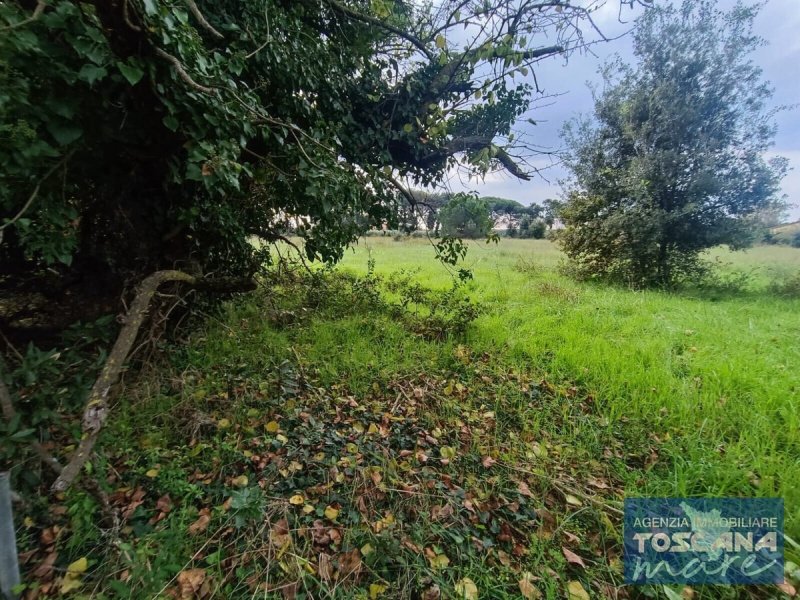Klein huisje op het platteland in Castagneto Carducci