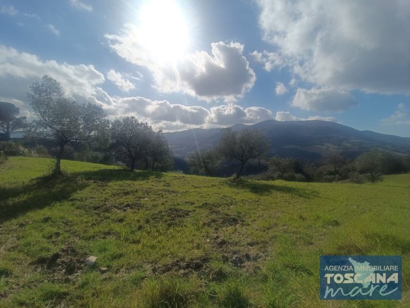 Jordbruksmark i Montecatini Val di Cecina