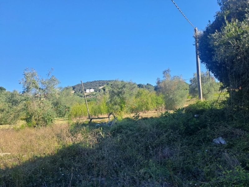 Дом в Амелиа