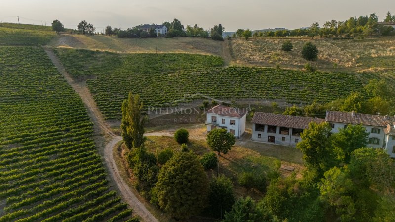 Azienda agricola a Nizza Monferrato